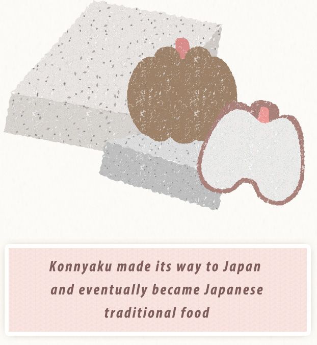 Japanese traditional food